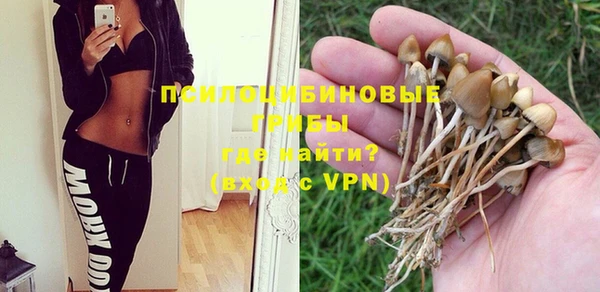бошки Балахна