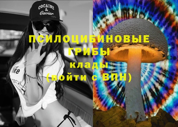 бошки Балахна